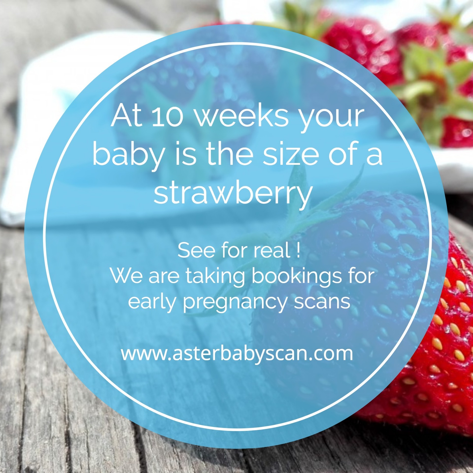 10 Weeks Baby Size Image
